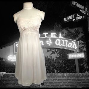 Vintage Chiffon Negligee Vanity Fair